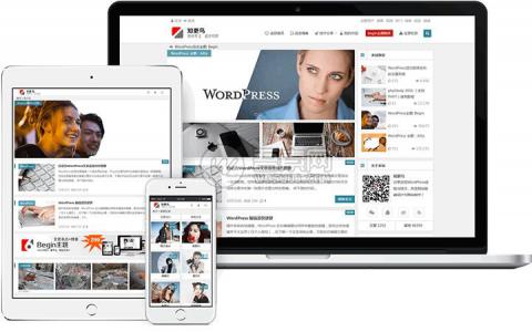 wordpress知更鸟Begin主题 Lts 版本(Begin Lts)下载 无域名限制(图1)