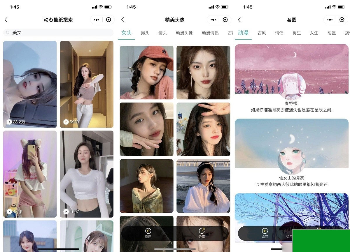 云开发壁纸小程序源码/新版大气UI微信QQ双端壁纸小程序源码(图2)