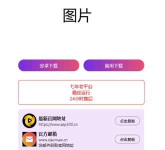 2024首发最火的软件宣传单页源码