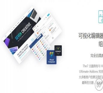 wordpress汉化主题：The7.6汉化版，支持自动更新