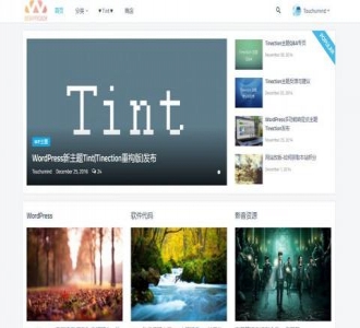 WordPress新主题Tint Pro版，无域名限制，附组