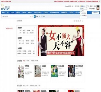 Discuz商业插件：价值498元的小说阅读器专业版v9.3.2.支持手机触屏浏览，内置3套模板