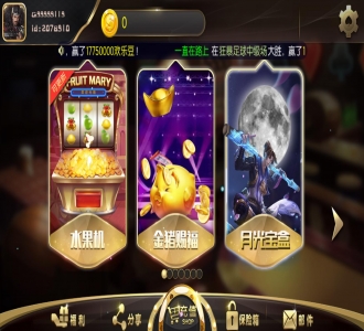 TNT永盛娱乐电玩城完整服务器打包数据+双端app正常+服务