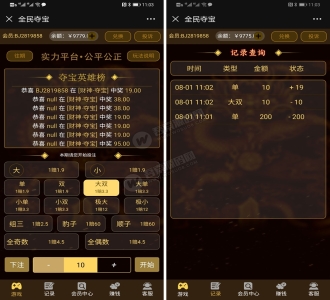 最新H5全民奇宝源码 对接码支付+微信官方支付